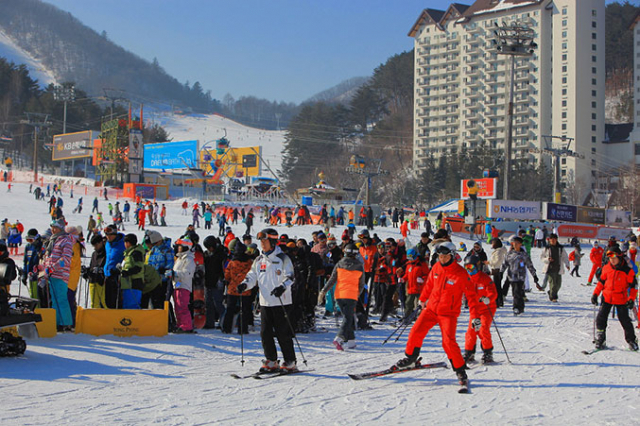 용평리조트 스키장 인파.