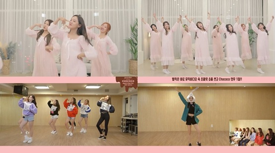 사진=젤리피쉬