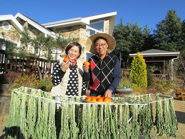박석희