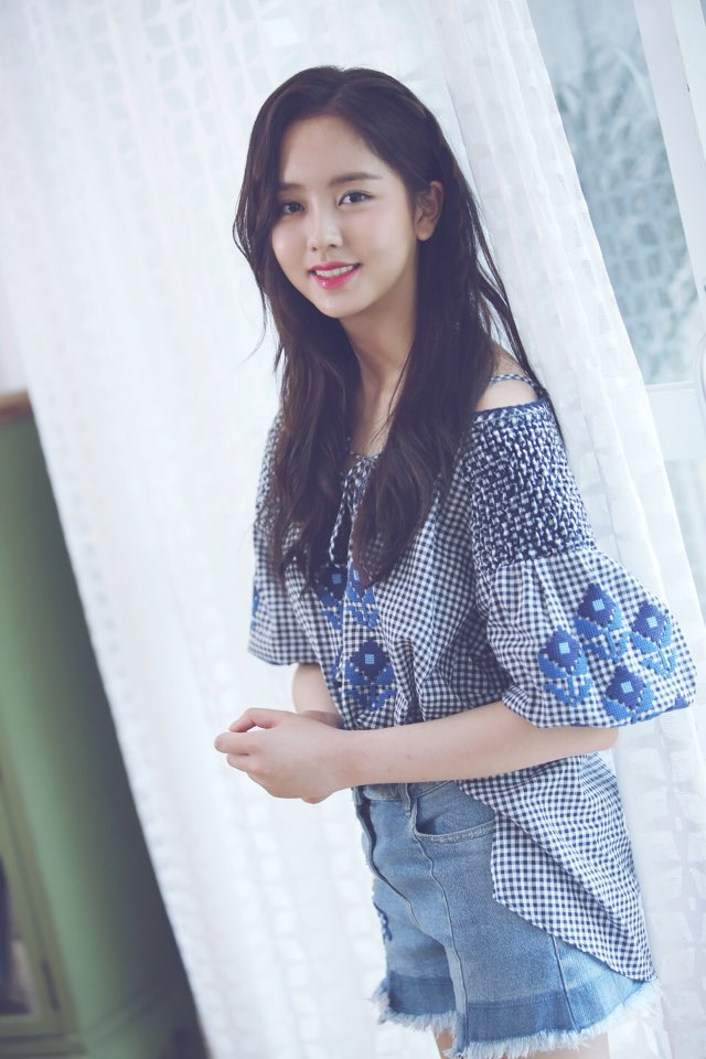 사진.