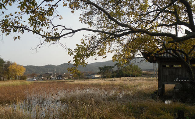 이요당에서 본 서출지의 모습. 이야기가 있어 넓어진 공간이다.