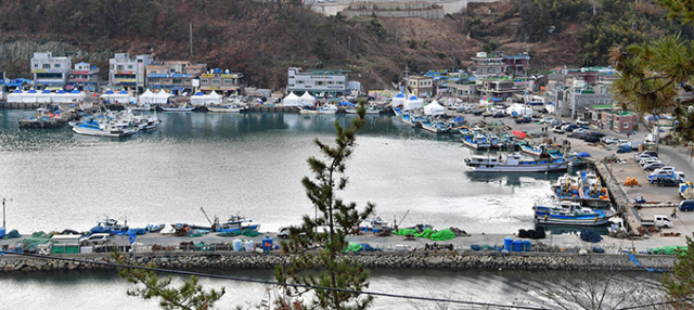 외포항 전경
