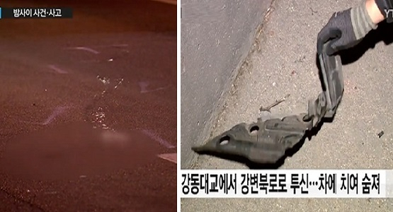 사진. ytn 화면 캡처