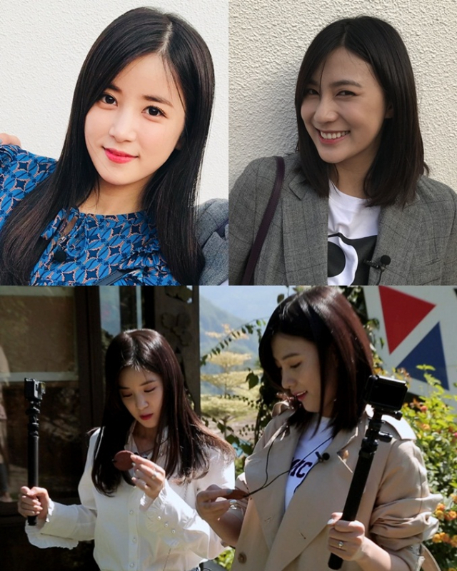사진.