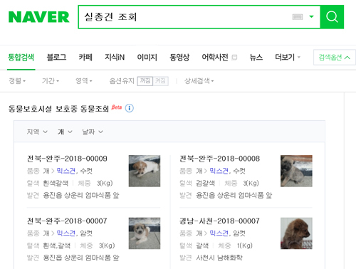 네이버 