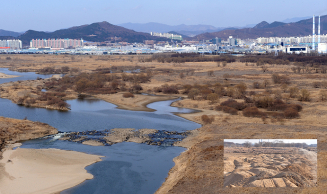 국내 맹꽁이 최대 산란지인 달성습지가 탐방나루 조성사업으로 매립되면서 환경전문가들은 맹꽁이가 달성습지에서 사라질 수 있다는 우려를 제기하고 있다. 매립전의 달성습지(위)와 매립후 모습(아래). 정운철 기자 woon@msnet.co.kr