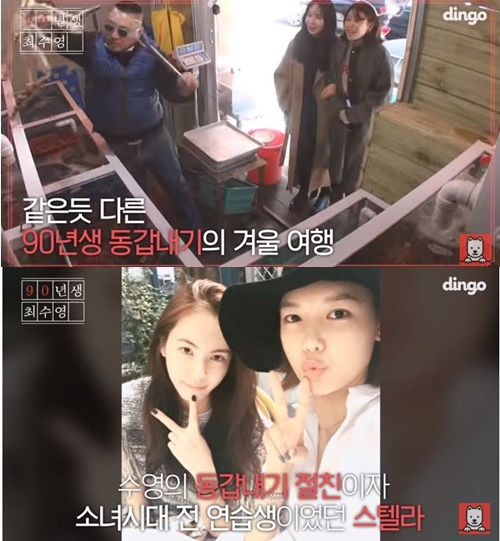사진. 딩고 90년생 최수영