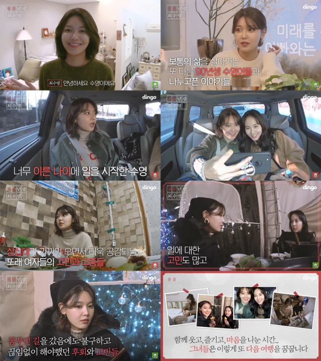 사진.딩고 