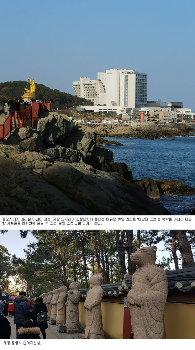 아난티 코브 해안을 따라 남쪽으로 내려오면 해동 용궁사가 바로 보인다. 바닷가 기암 절벽 위에 자리 잡은 해동 용궁사.