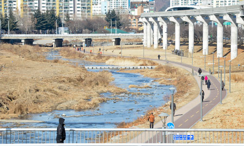 대구 북구 팔거천과 운암지에 천연기념물 수달이 자주 목격되면서 수량이 부족한 팔거천에 금호강 물을 공급하려는 