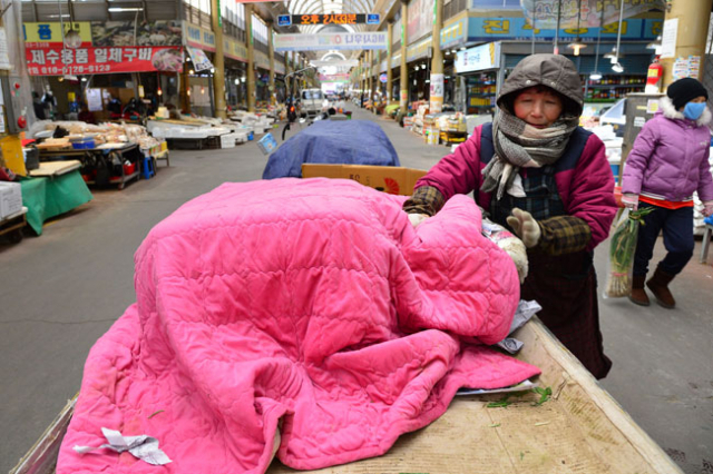 한파가 몰아친 24일 오후 대구 팔달신시장에서 한 노점상인이 이불로 채소를 감싼 채 손님을 기다리고 있다. 강추위에 농산물값이 급등하면서 전통시장을 찾는 손님이 줄자 상인들의 시름이 깊다. 정운철 기자 woon@msnet.co.kr