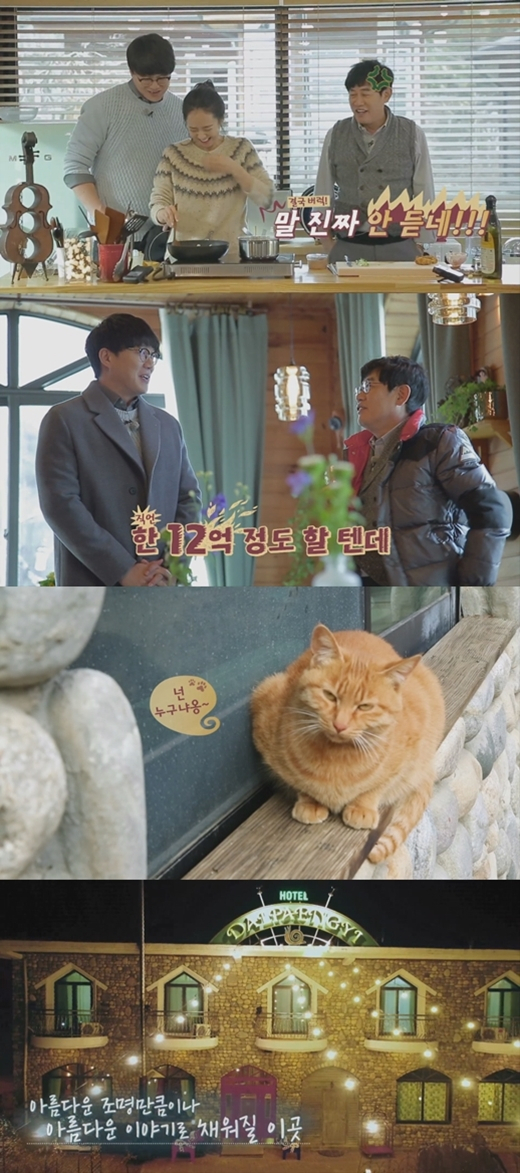 사진.올리브