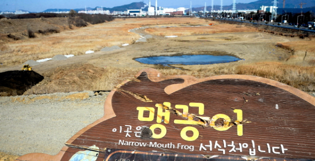 달성습지 = 4일 대구 달성습지 내 대명유수지 맹꽁이 생태학습장 조성 공사 현장. 환경단체들은 땅속에서 겨울잠을 자는 맹꽁이가 있는지 확인도 하지 않은 채 모래로 덮어 버리는 등 대구시의 무분별한 공사 진행을 비판하고 있다. 우태욱 기자 woo@msnet.co.kr