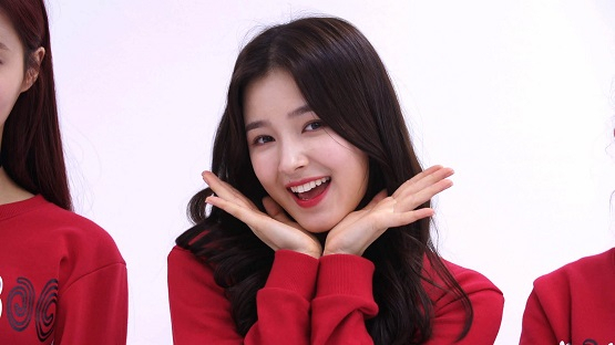 사진. 