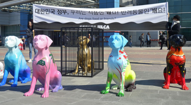 26일 동대구역 광장에서 동물권단체인 동물해방물결 회원들이 개 조형물을 전시한 뒤 개고기 식용 금지 캠페인을 펼치고 있다. 성일권 기자 sungig@msnet.co.kr