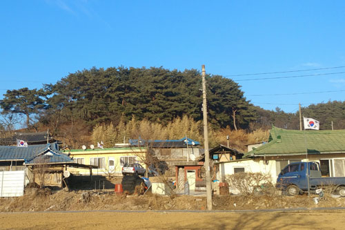 영주 평은면 용혈1리 미림마을은 수년째 1년 내내 마을 앞 도로와 집집마다 태극기를 게양하고 있다. 영주시 제공