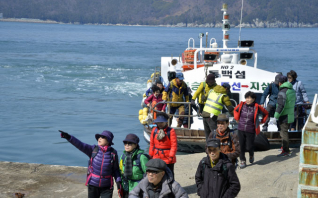 장승포항에서 배로 15분이면 닿을 수 있는 지심도. 관광객들이 배에서 내리자마자 부지런히 동백꽃을 찾아 나선다.