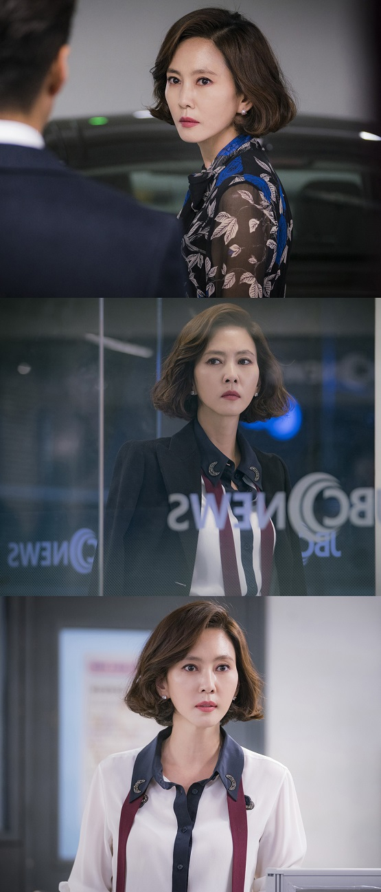 사진. 미스티