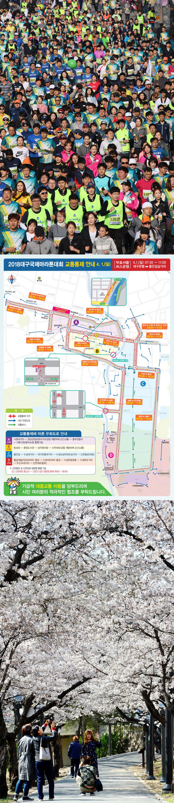 2017 대구국제마라톤대회 현장, 2018 대구국제마라톤대회 코스 및 교통통제 안내도, 벚꽃 명소인 대구 산격동 산격동 꽃보라동산. 매일신문DB, 대구시