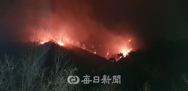 3일 저녁 울진군 기성면 망양리 현종산에서 산불이 발생해 강한 남풍을 타고 급격히 번지고 있다. 울진군 제공