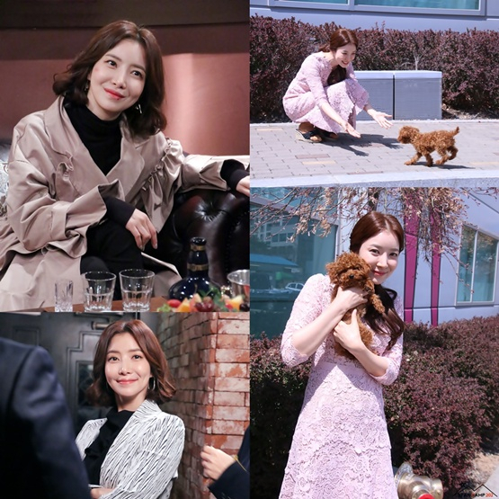 사진. 스타캠프202