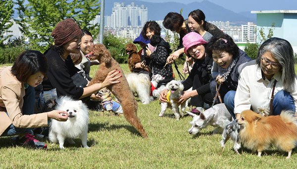 애완견과 견주들이 함께 즐거운 시간을 보내고 있다.