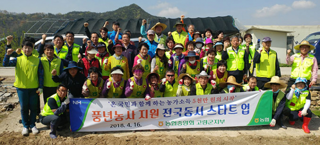 농협 고령군지부와 지역 농가주부모임 회원 등 50여 명이 