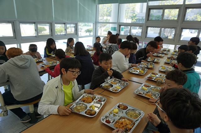 강림초에서 지난 18~20일 진행된 