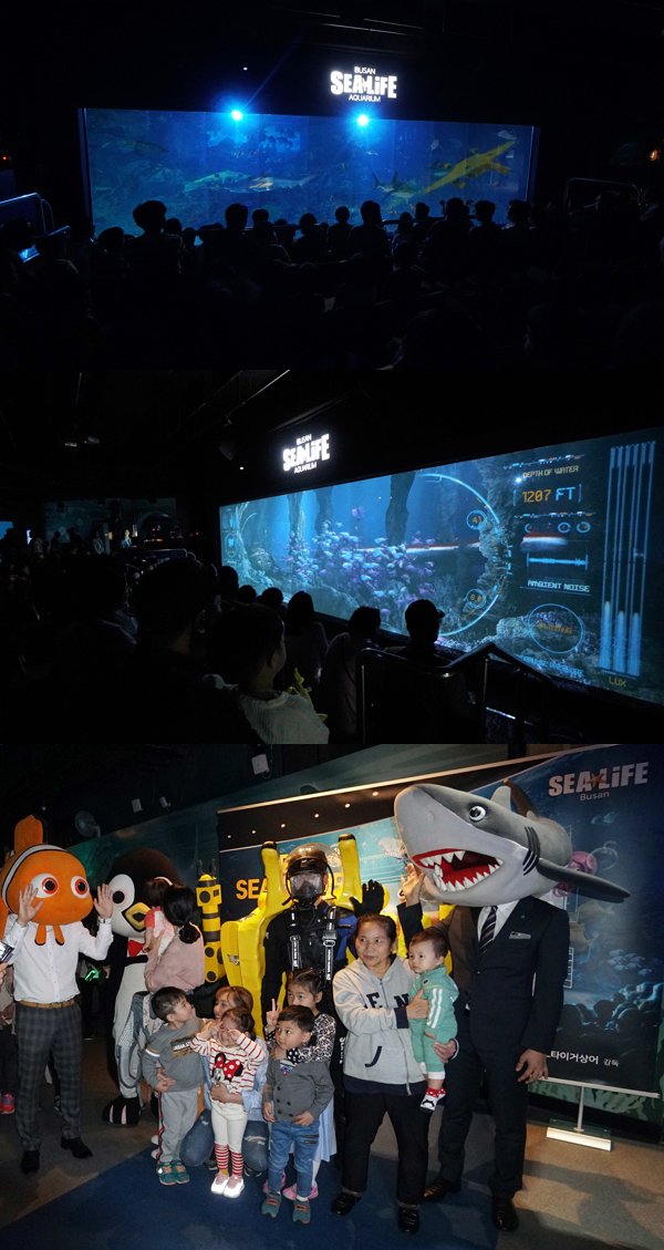사진12=바닷속 특별한 영화관! SEA LIFE 부산아쿠아리움 