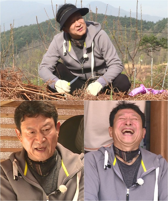 사진. 나물 캐는 아저씨