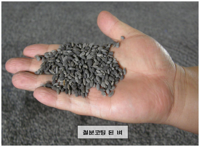 칠곡군농업기술센터 제공
