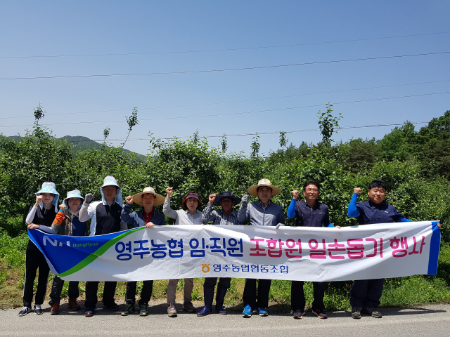 영주농협 임직원과 고향주부모임 회원들이 농가 일손지원을 벌였다.