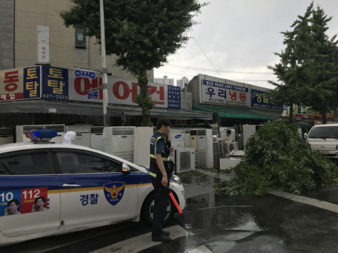 30일 오후 대구에 우박과 돌풍을 동반한 기습 폭우가 쏟아져 가로수가 넘어지고 건물이 침수되는 등 피해가 잇따랐다. 홍준헌 기자 newsforyou@msnet.co.kr