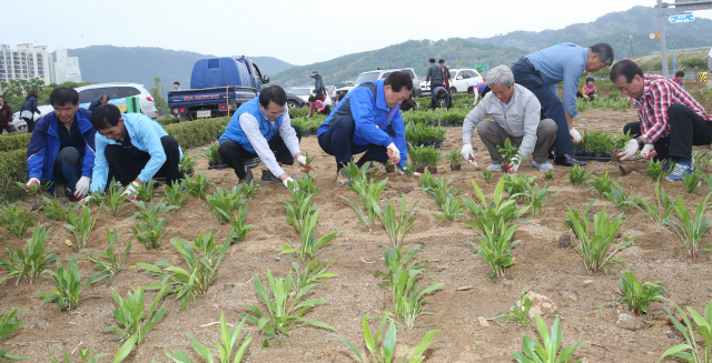 성주군환경지도자연합회 관계자들이 클린성주만들기 성공과 도시미관 정비를 위한 클린희망공원을 조성하고 있다. 성주군 제공