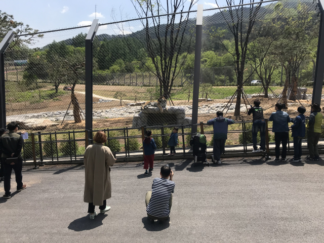 국립백두대간수목원을 방문한 관광객들이 호랑이 숲을 관람하고 있다. 백두대간수목원 제공