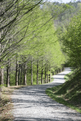계족산 산신제길. 대전 대덕구 제공