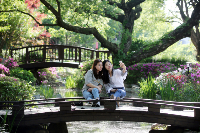 경주세계문화엑스포공원 내 연지다리는 젊은 층의 산책 코스로 각광을 받고 있다. 경주세계문화엑스포 제공