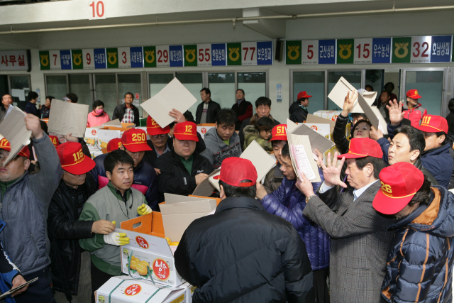 성주참외는 지난해 조수입 5천억원을 돌파했다. 이로써 삼오시대(참외조수입 5천억원, 예산 5천억원, 인구 5만 명)에도 바짝 다가섰다. 성주참외산지유통센터 경매에서 참가한 참외 중도매인들이 치열한 신경전을 벌이고 있다. 성주군 제공