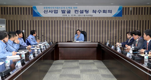 한수원은 12일 종합 에너지기업으로 도약하기 위한 신사업 발굴 착수회의를 열었다. 한수원 제공