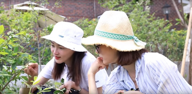 사진. 에스팀