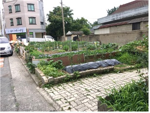동구 신기동 대지