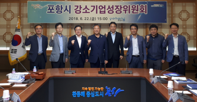 포항시는 2018년 포항시 강소기업성장위원회를 열고 11개 사를 유망강소기업으로 선정했다(포항시 제공)