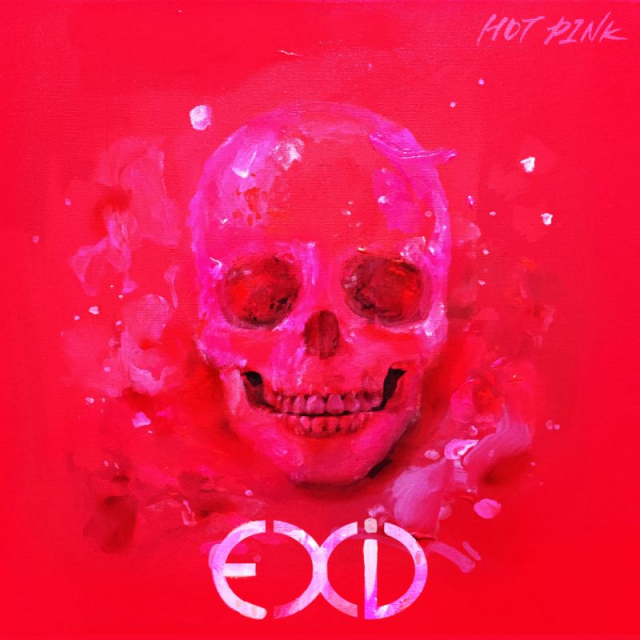 EXID의 핫핑크. 매일신문DB