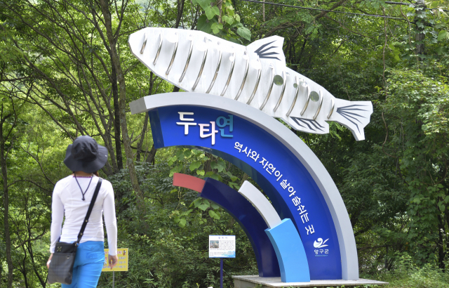 두타연은 맑고 오염되지 않은 찬물에서 산다는 열목어의 최대 서식지로 알려져 있다. 이채근기자 mincho@msnet.co.kr
