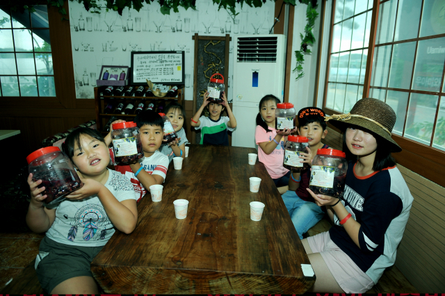 영천시가 23일부터 11월까지 포도 수확 및 와인 담그기 체험을 할 수 있는 와인투어를 실시한다. 영천시 제공