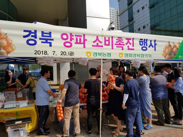 경북농협이 20일 지역본부 앞 마당에서 양파소비 촉진 행사를 진행하고 있다. 경북농협 제공