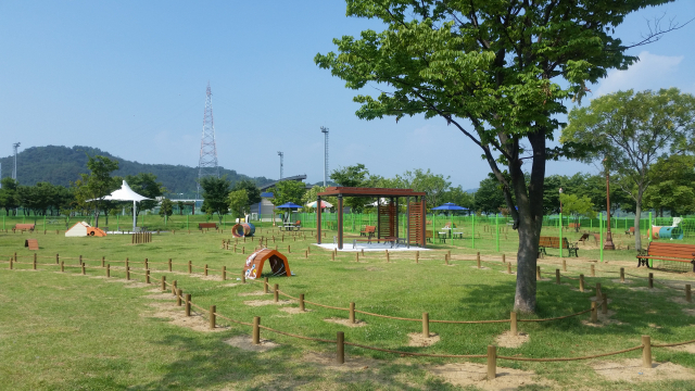 구미시가 다음 달 초 동락공원에 문을 여는 공공 반려견 놀이터. 구미시 제공