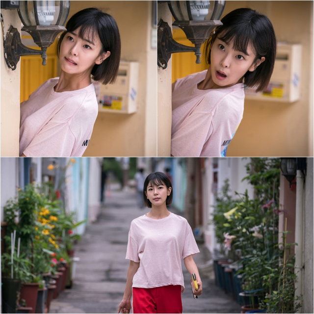 사진. 