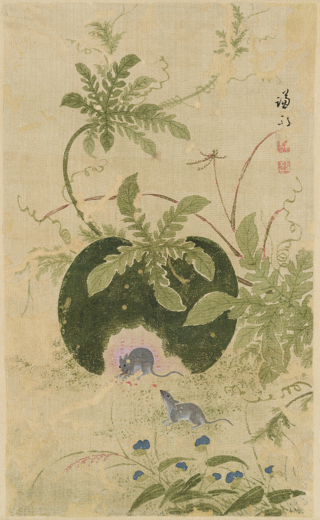 정선 