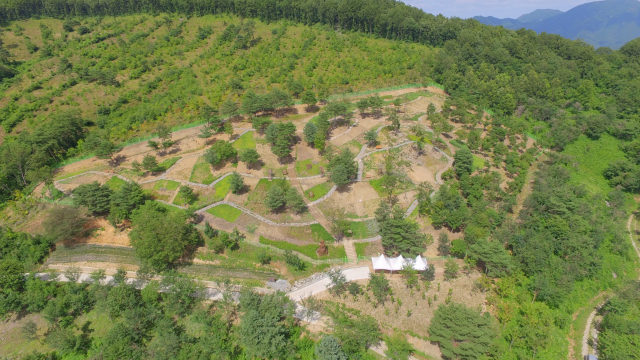 의성군은 옥산면 금봉리 금봉산 일대에